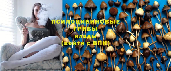 ALPHA PVP Покровск